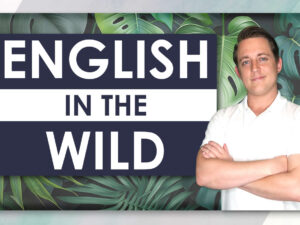Course Art - English in the Wild